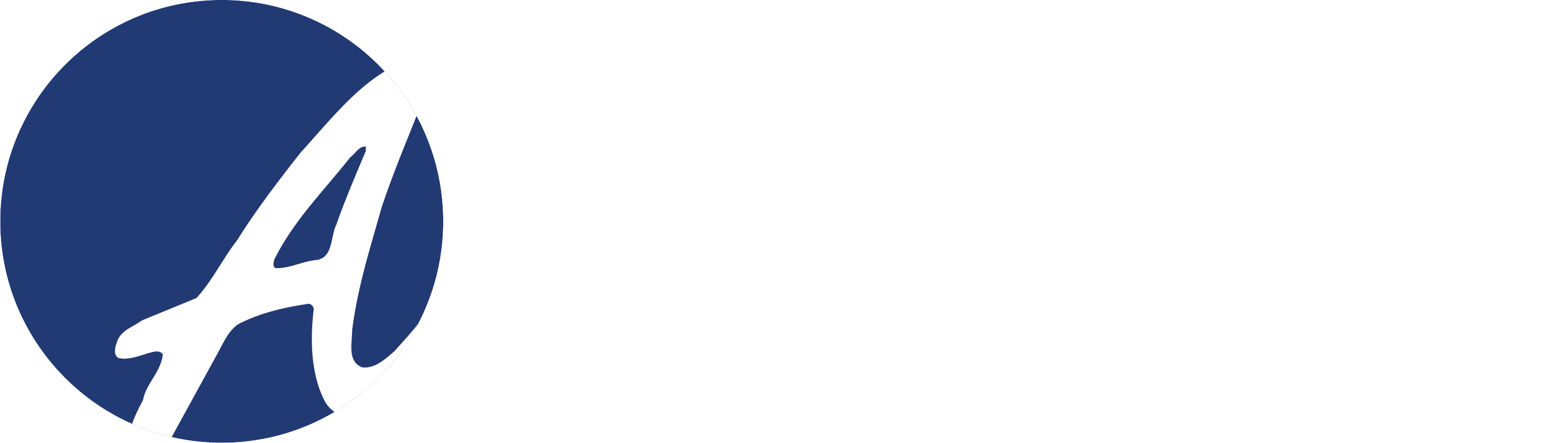 Action Benefits Logo - White Text